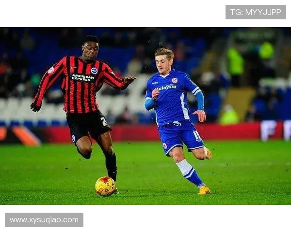 卡迪夫主场迎战布莱顿期待精彩对决双方争夺宝贵积分